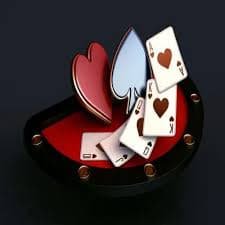 5005bet