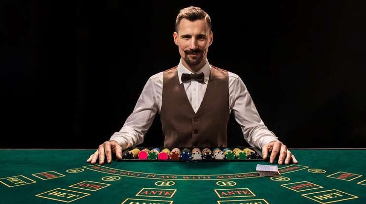 5005bet