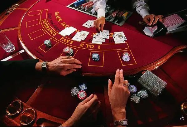 5005bet